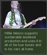 Willie Nelson